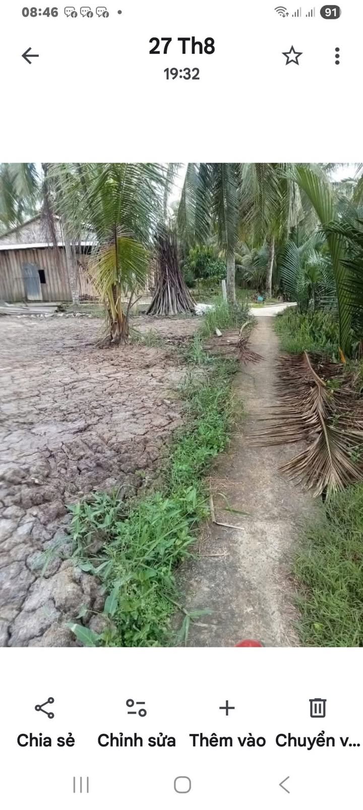 Đất nền Bình Hòa, Giồng Trôm, Bến Tre 520m² giá 320 triệu - Cơ hội đầu tư hấp dẫn!