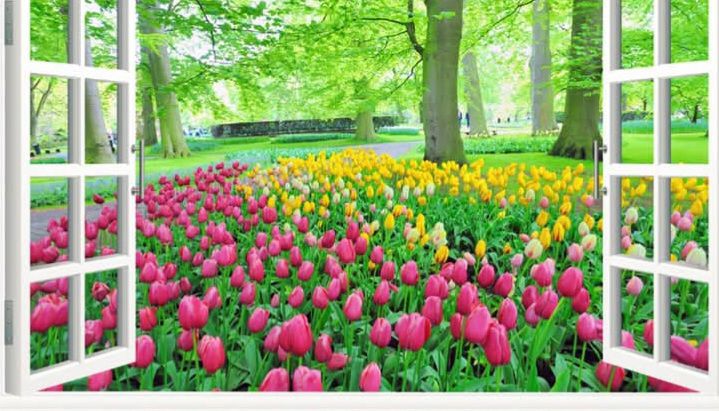 Đất nền Ninh Phúc, Hoa Lư 100m² giá thỏa thuận - Hướng Nam thoáng mát!