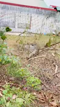 Đất thổ cư 83m² tại Xóm 8 Đồng Tâm, Mỹ Đức - Giá chỉ 950 triệu!