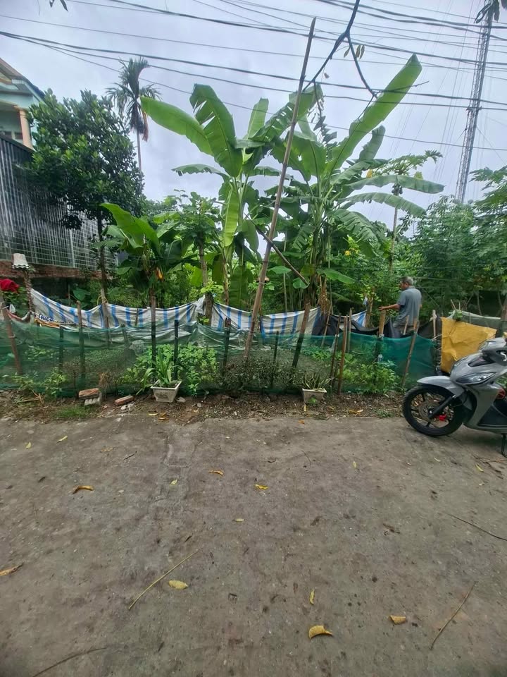 Đất thổ cư xã Trung Môn - 167m² chỉ 1 tỷ - Gần trường THPT Xuân Huy!