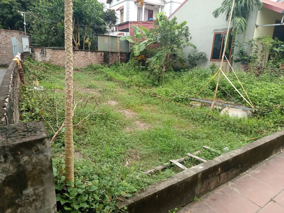 Đất nền lô góc 62m² Đào Xuyên - Giá chỉ 5.x triệu - Vị trí thoáng mát