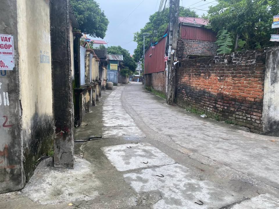 Lô đất 78,3m² tại Thanh Lâm, Mê Linh - Đầu tư sinh lời chỉ 4 tỷ!