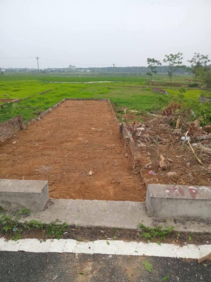 Đất nền Hạ Bằng, Thạch Thất 93m² giá chỉ 7 tỷ - Đầu tư sinh lời ngay!