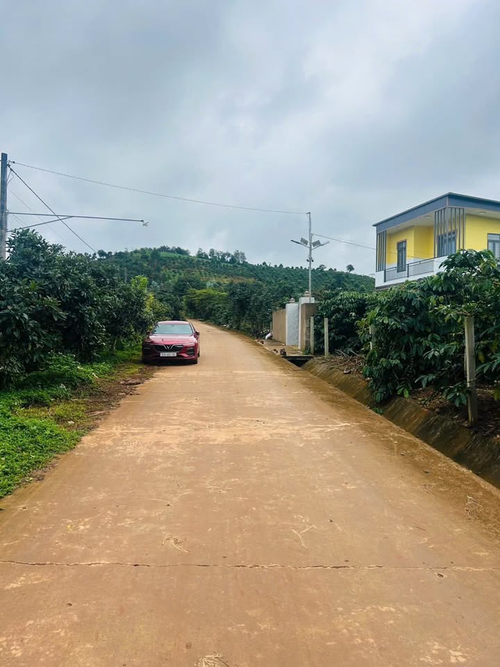 Lô đất xã Nam Hà 200m² giá chỉ 500 triệu - Đầu tư sinh lời ngay!