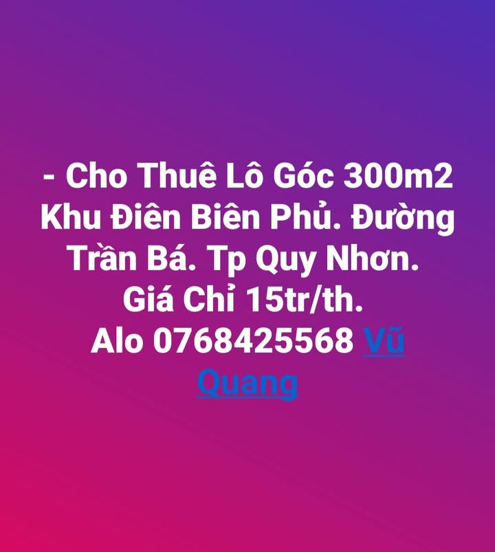 Cho thuê lô góc 300m² đường Trần Bá, TP. Quy Nhơn - Giá chỉ 15 triệu/tháng!