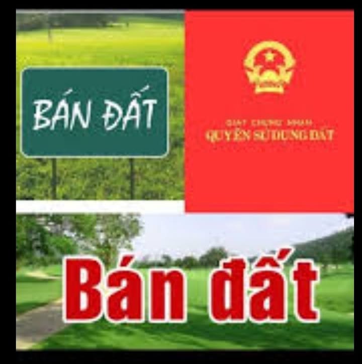 Đất Ngọc Xuân 93m² giá 980 triệu - Vị trí lô góc đẹp, không ngập lụt!