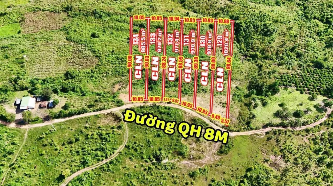 Lô đất 1.000m² mặt tiền 10m tại Quảng Hiệp - Giá chỉ 129 triệu