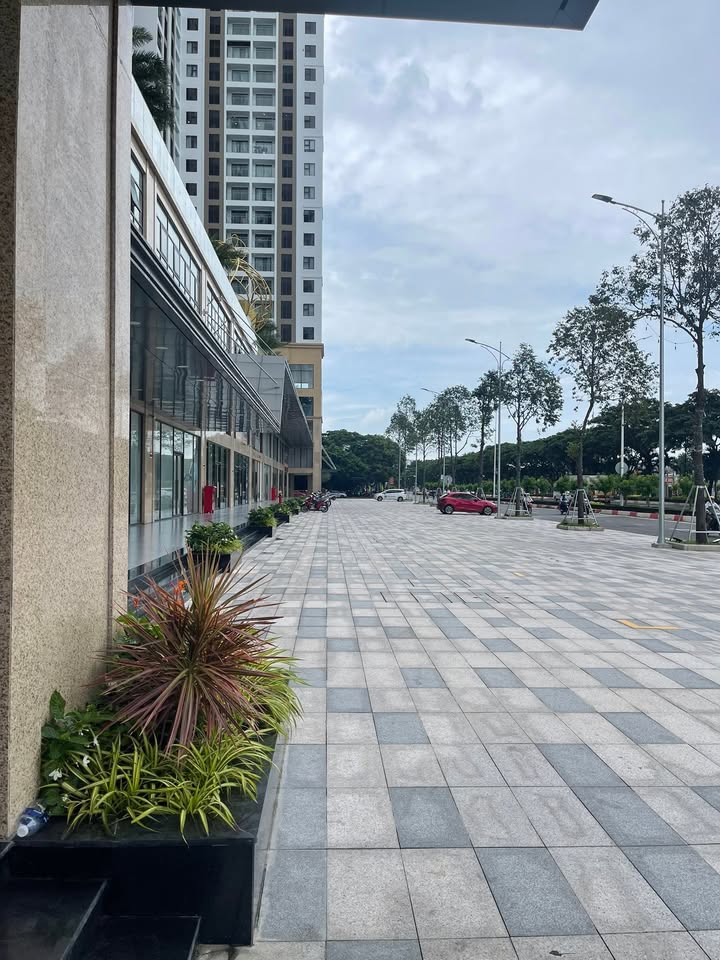 Shophouse cho thuê góc 2 mặt tiền tại Chí Linh Center Vũng Tàu 500m² - Phù hợp kinh doanh đa dạng!