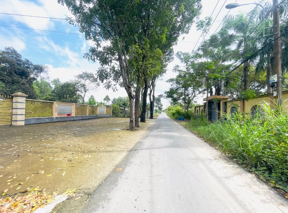 Đất thổ cư Củ Chi 2205m² - Vị trí đẹp, tiện xây biệt thự, homestay!