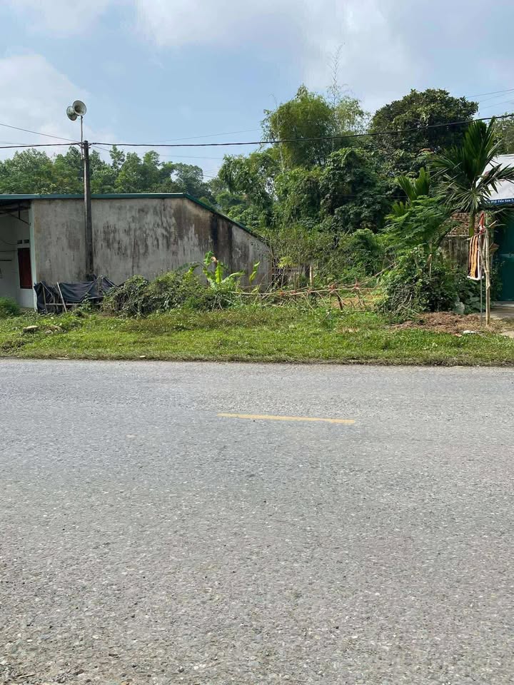 Đất nền Thường Xuân 130m² giá thỏa thuận - Đầu tư sinh lời tiềm năng!