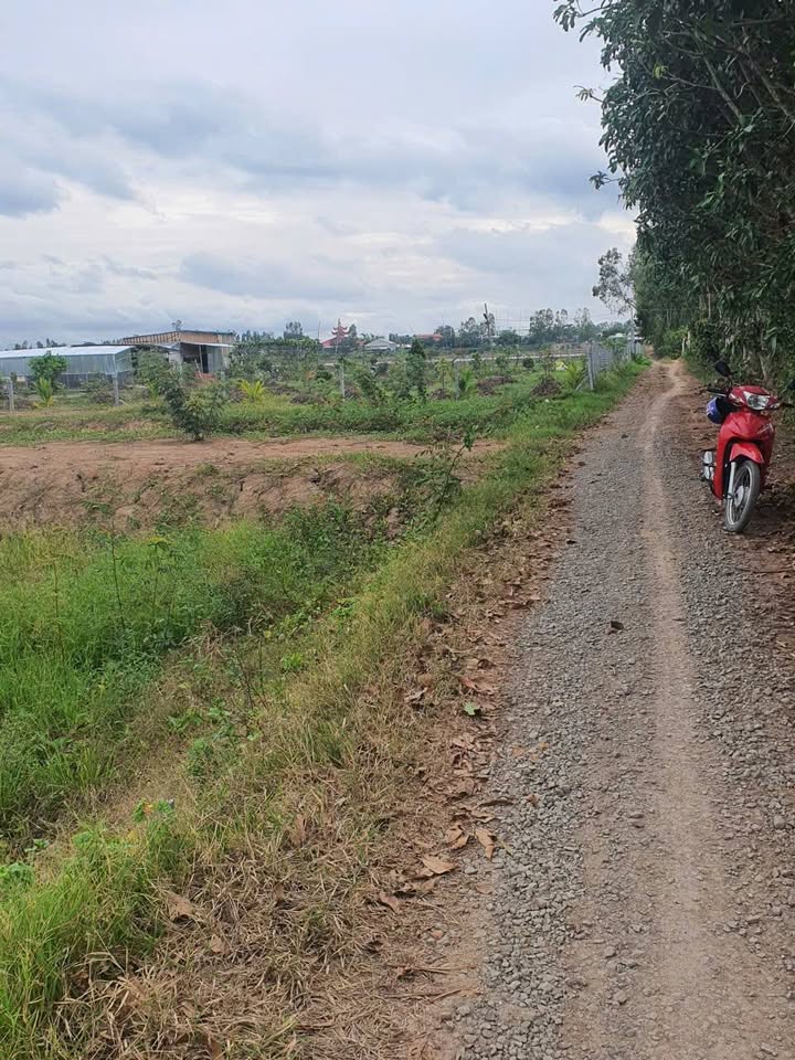 Đất mặt tiền Phú Hiệp, Tam Nông 1070m² chỉ 175 triệu - Cơ hội đầu tư tuyệt vời!