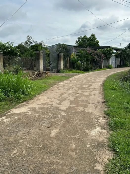 Đất thổ cư 250m² xã Ea Phê, Krông Pắc giá chỉ 670 triệu - Bán gấp!