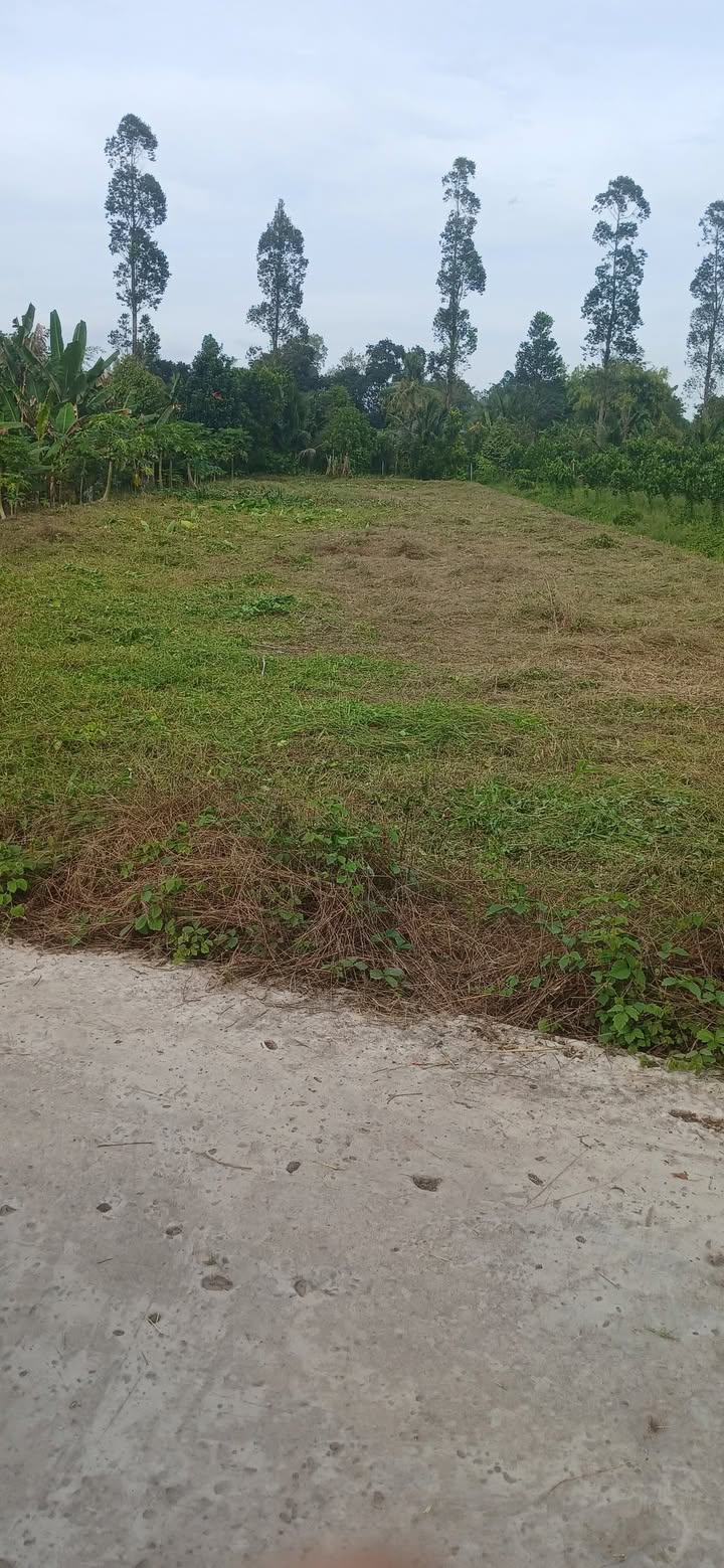 Đất nền Phong Hòa Đồng Tháp 1022m² giá 1.7 tỷ - Vị trí đẹp, dân cư đông đúc!