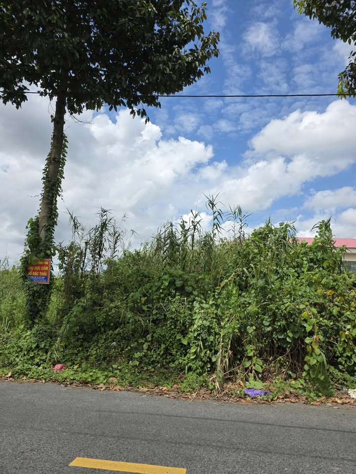 Bán gấp FrontHouse 100m² đường Hai Bà Trưng, Lấp Vò - Giá chỉ 1.2 tỷ, thương lượng ngay!