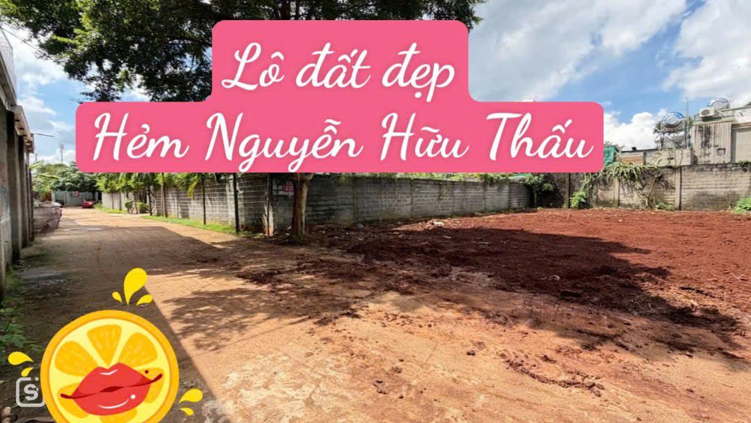 Lô đất hẻm 137 Nguyễn Hữu Thấu, Tân Lợi 115m² giá 3.79 tỷ - Cơ hội vàng cho đầu tư!