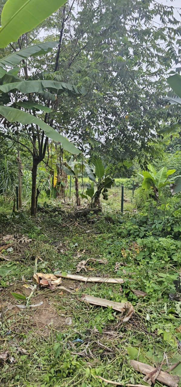 Đất thổ cư Lưỡng Vượng Tuyên Quang 170m² - Gần gũi thiên nhiên, giá thỏa thuận!