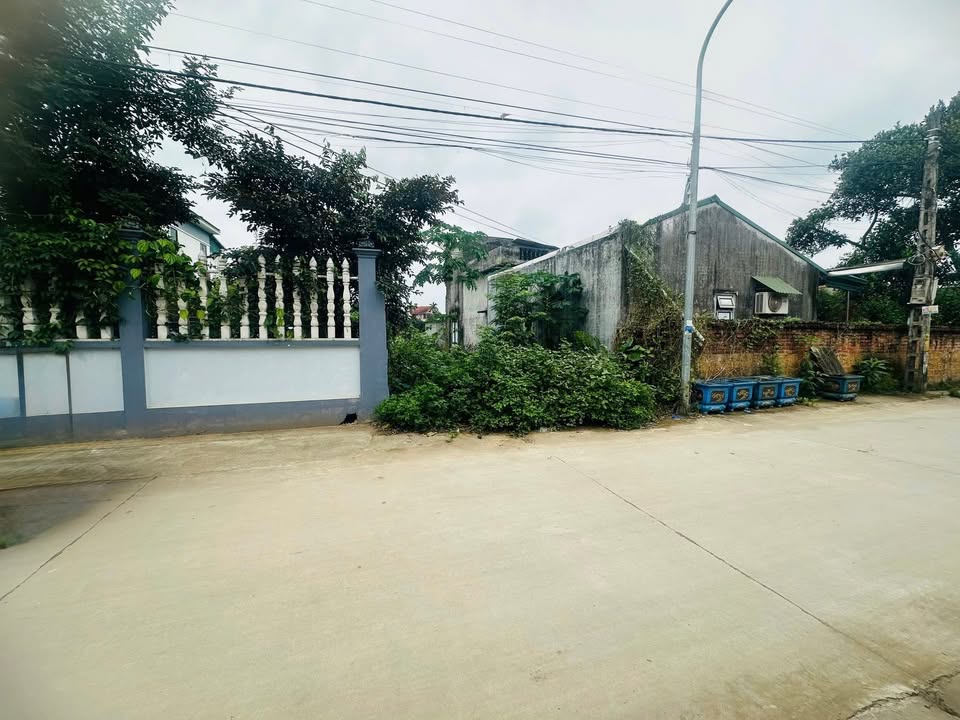 Đất nền Sơn Tây 125m² giá 3.875 tỷ - Tiềm năng đầu tư hấp dẫn!