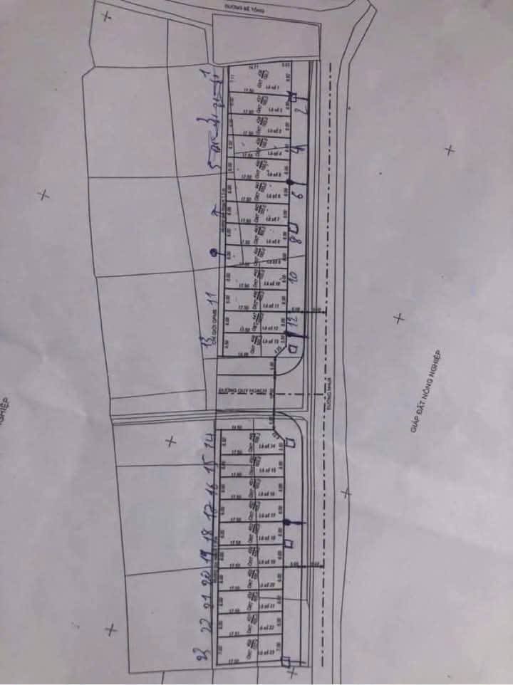 Bán đất đấu giá Tổ Dân Phố Núi, Phường Thị Lạn, Bắc Ninh 105m² - Mặt tiền 6m, Sổ đỏ chính chủ!