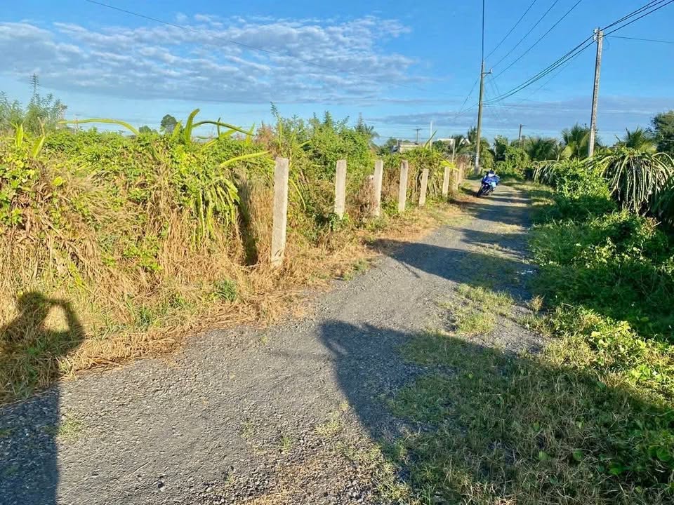 Đất thổ cư Hàm Cường, Bình Thuận 468m² giá 550 triệu - Đầu tư sinh lời hấp dẫn!