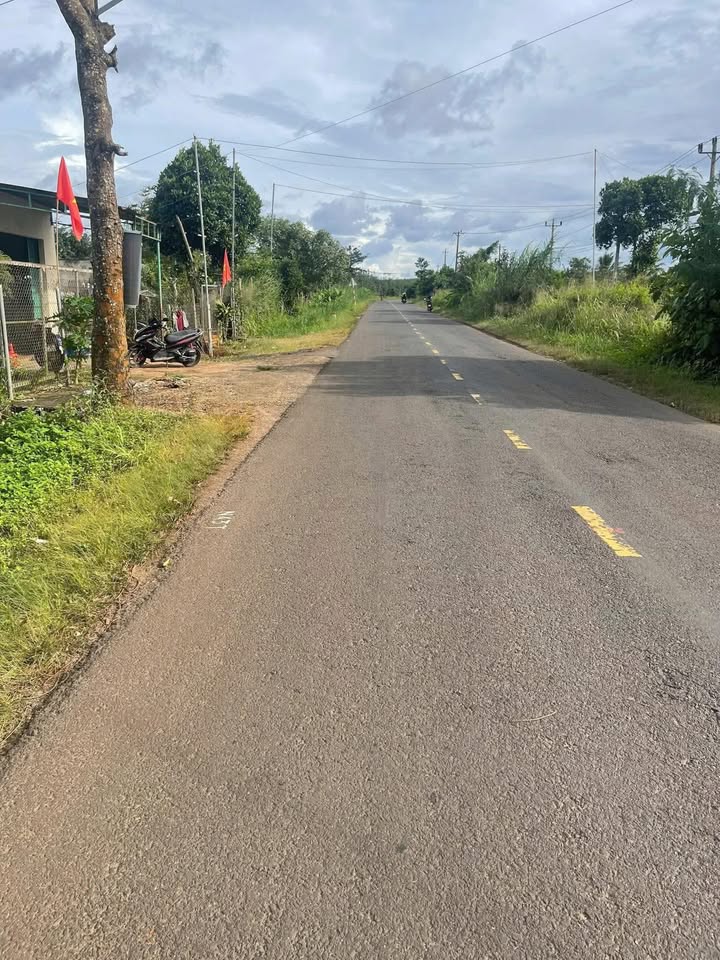 Đất mặt tiền Tỉnh Lộ 15 xã Ea Sol, Đắk Lắk 200m² - Giá chỉ 880 triệu!