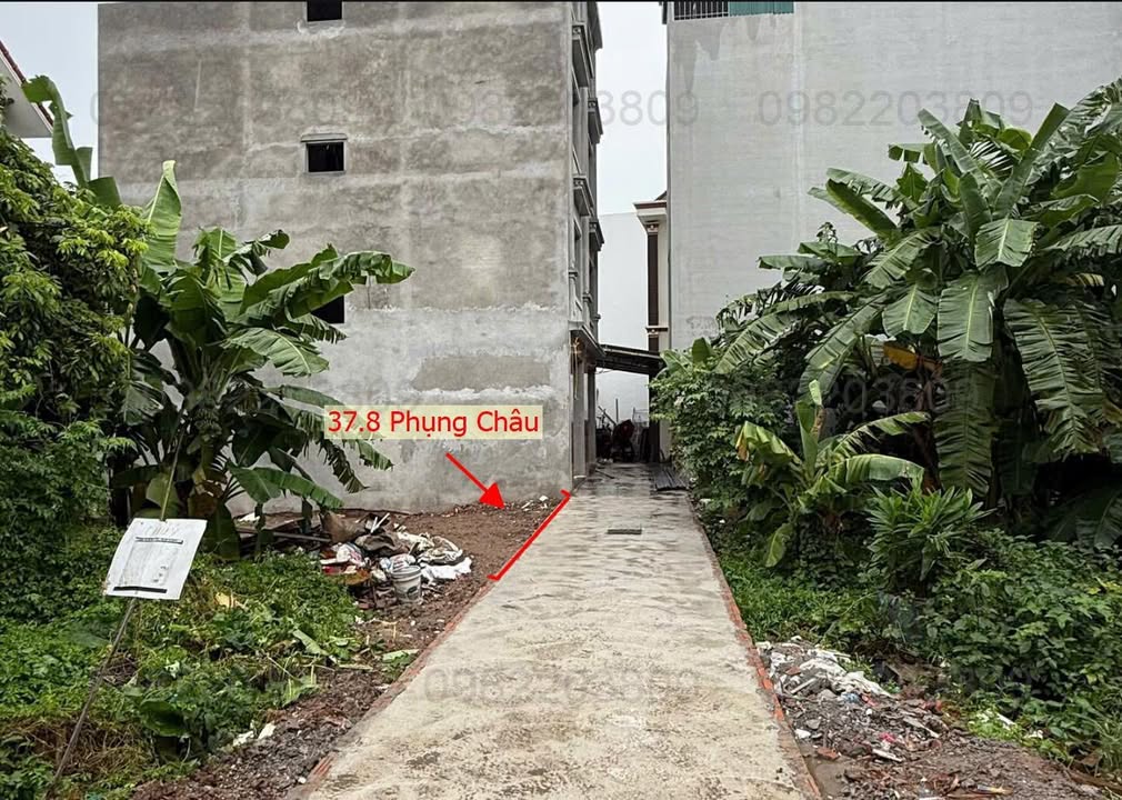 Đất Phụng Châu, Chương Mỹ 37m² giá 2 tỷ - Cơ hội đầu tư hiếm có!