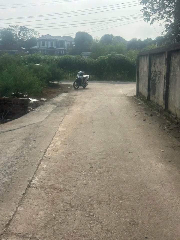 Đất nền đẹp khu 5 Thanh Đình, Việt Trì 220m² giá 1.7 tỷ - Vị trí thuận lợi cho đầu tư!