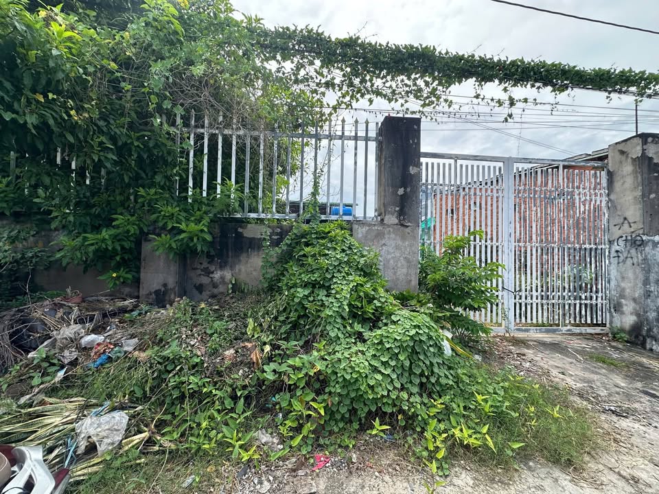 Đất sân vườn 456m² tại Tân Hải, La Gi - Giá chỉ 2.5 tỷ, vị trí đắc địa!