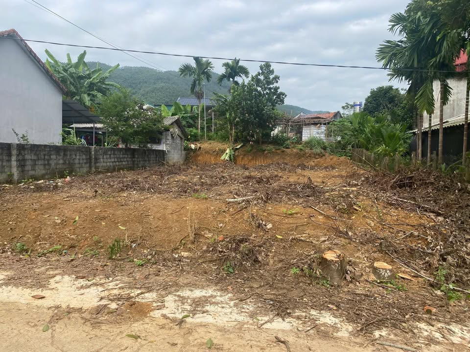 Đất thổ cư chính chủ tại Thanh Thủy 247m² giá 1 tỷ - Đường bê tông rộng rãi!