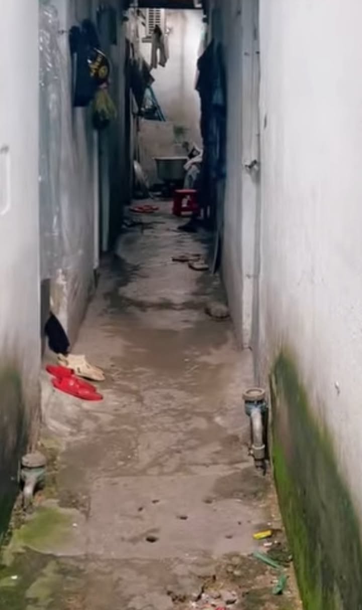 Nhà Trọ 8 Căn Khu Chánh Hưng Quận 8 Giá 5.8 Tỷ - Đầu Tư Sinh Lời Ngay!