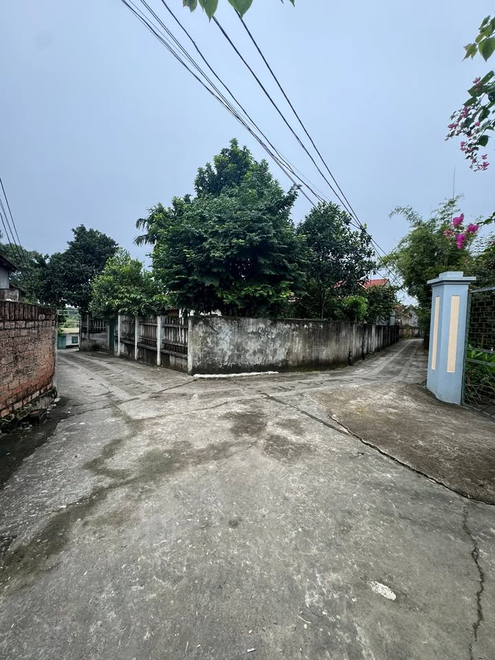 Đất nền Tùng Thiện, Sơn Tây, 100m² - Ô tô vào tận nơi, giá thỏa thuận!