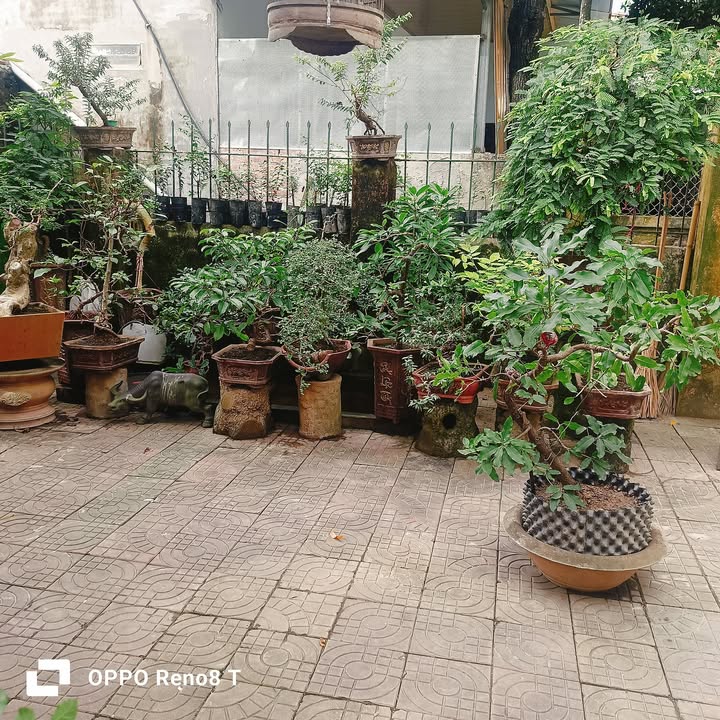 Đất nền ngõ 3 Sơn Lộc, Sơn Tây 151m² - Gần đường ô tô, tiện lợi giao thông!