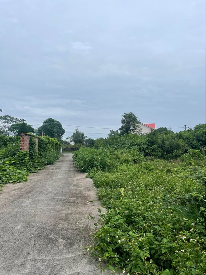 Đất nền thôn 1 Hải Xuân 500m² giá chỉ 800 triệu - Đầu tư sinh lời ngay!