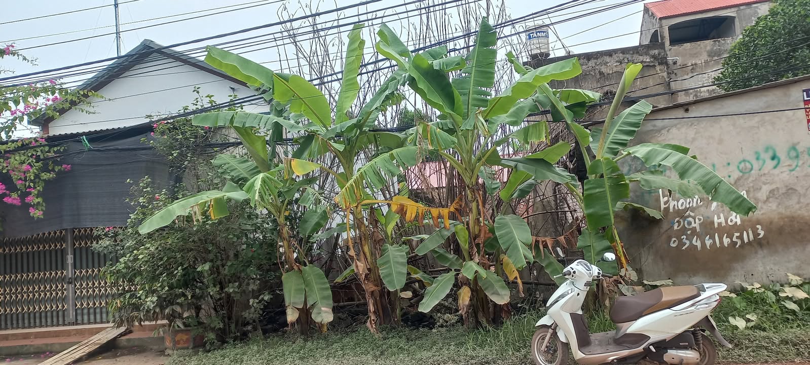 Đất nền Ngọc Châu, Tân Yên 100m² - Giá chỉ 1 tỷ, vị trí đắc địa!