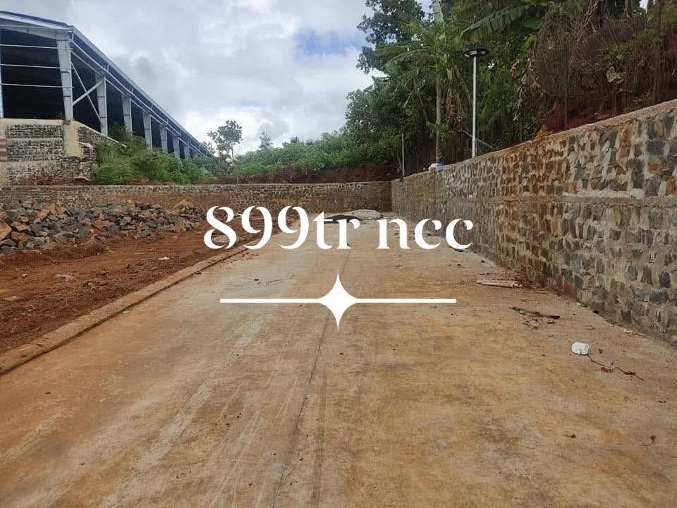 Đất thổ cư Đắk Mil 160m² giá chỉ 800 triệu - Đầu tư sinh lời ngay!