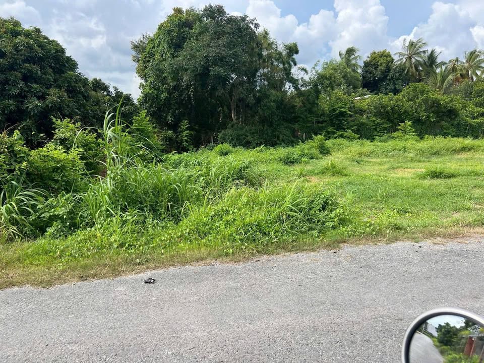 Đất thổ cư 100m² đường Nguyễn Lương Bằng - Giá 450 triệu, đầu tư sinh lời!