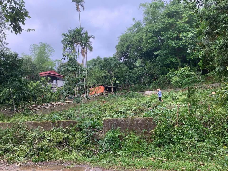 Đất nền Tân Hòa, Hòa Bình 482m² giá 1 tỷ - Đầu tư sinh lời ngay!