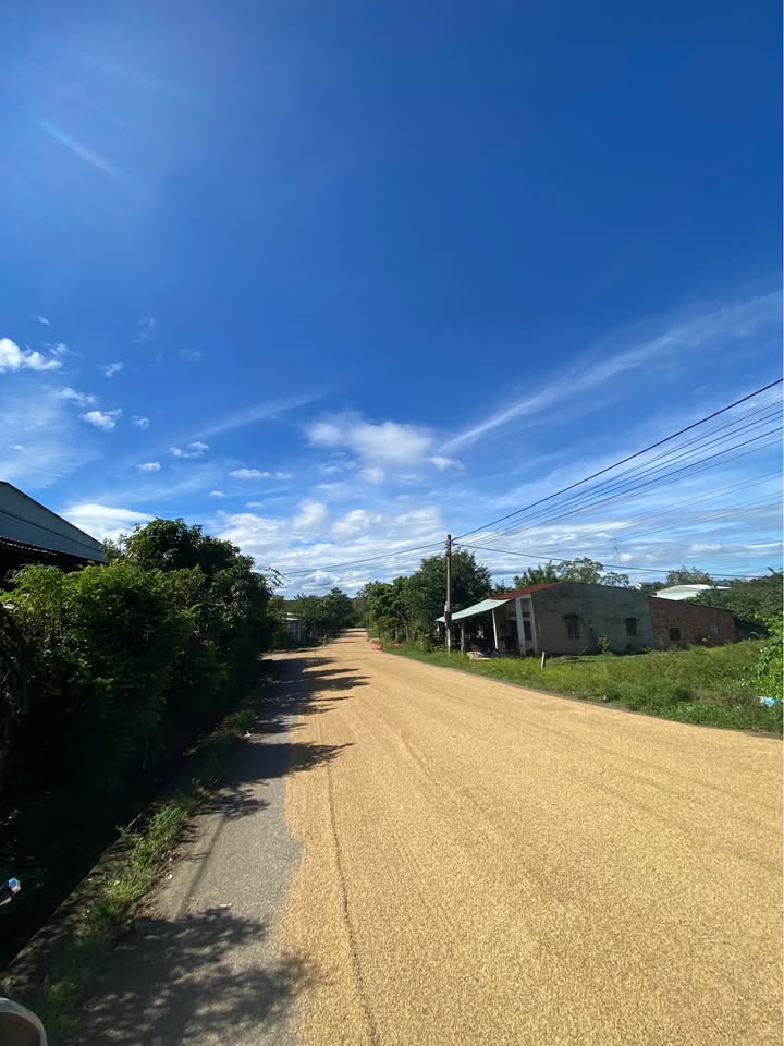 Đất nền khu dân cư đường Lê Thị Hồng Gấm, 280m² chỉ 1.3 tỷ - Lợi nhuận cao từ vị trí đắc địa!