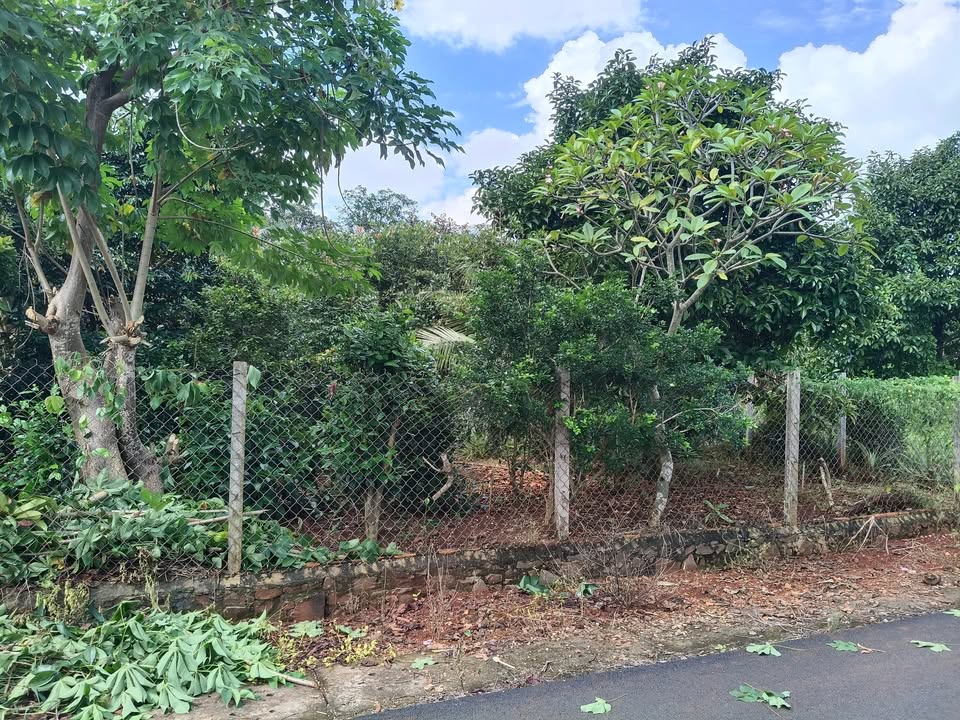 Đất thổ cư xã Hòa Hội, Xuyên Mộc 377m² giá chỉ 452.5 triệu - Sổ hồng mới, vị trí đắc địa!