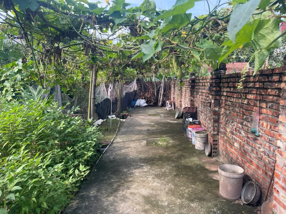 Nhà đất Kim Sơn, Gia Lâm 40m² giá 2.3 tỷ - Vị trí đắc địa, tiềm năng tăng giá!