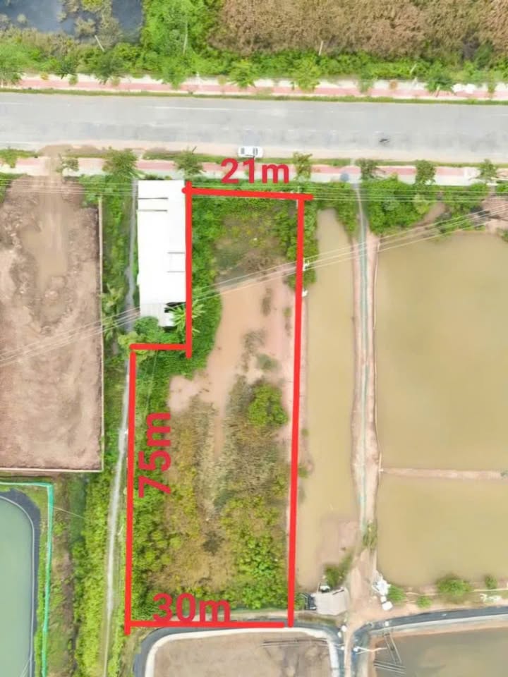 Đất nền tại xã Ngũ Lạc, Trà Vinh 1575m² giá chỉ 2.278 tỷ - Cơ hội đầu tư tuyệt vời!