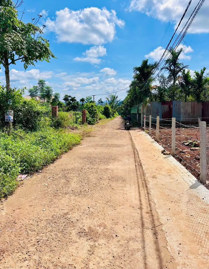 Đất mặt tiền bêtông 954m² tại Tân Lập, Buôn Ma Thuột - Cơ hội đầu tư tuyệt vời!