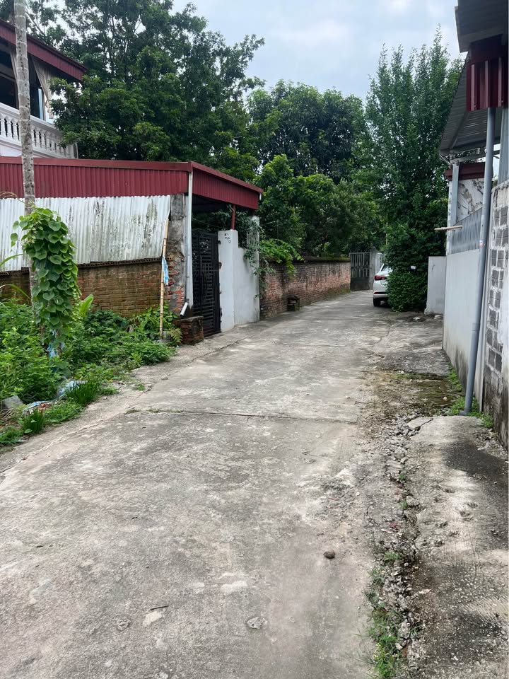 Đất nền 100m² mặt tiền 5m tại phường Tân Hòa - Giá chỉ 1 tỷ VND!