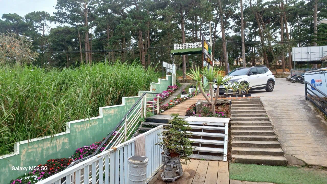 Cho thuê mặt bằng kinh doanh Đà Lạt 300m² giá 40 triệu - Phù hợp mọi mô hình kinh doanh