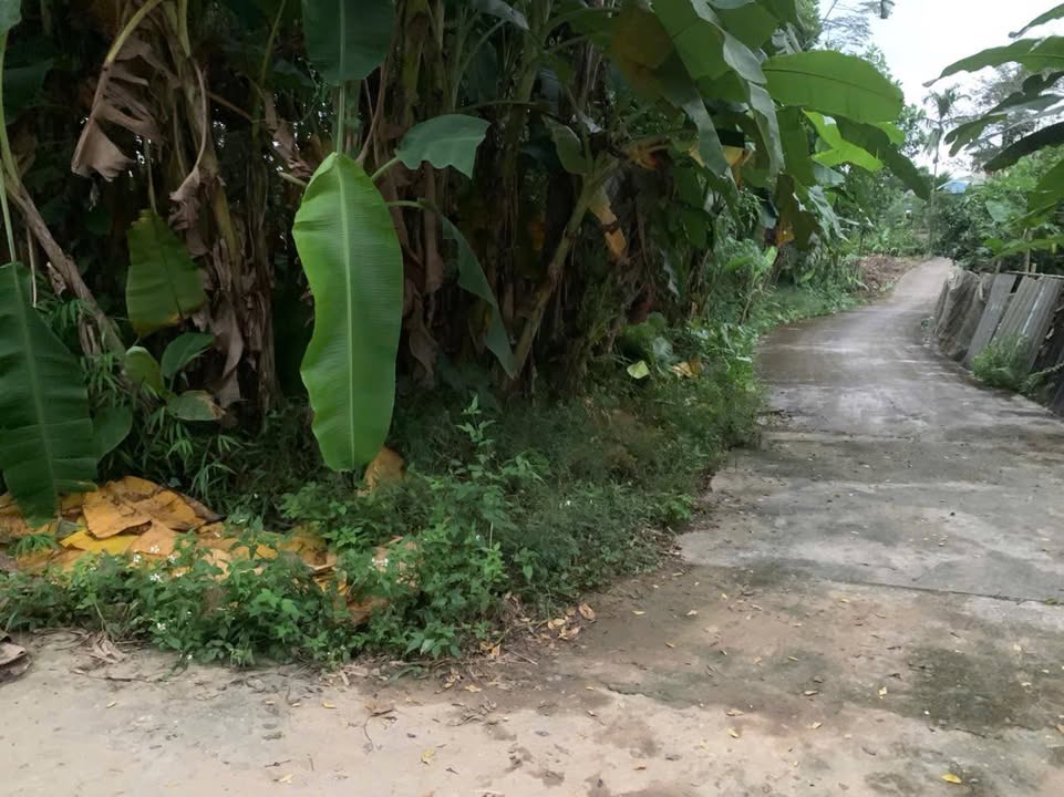 Đất nền Kim Phú Tuyên Quang 125m² giá 1.3 tỷ - Sổ đỏ chính chủ, ô tô vào tận nơi!