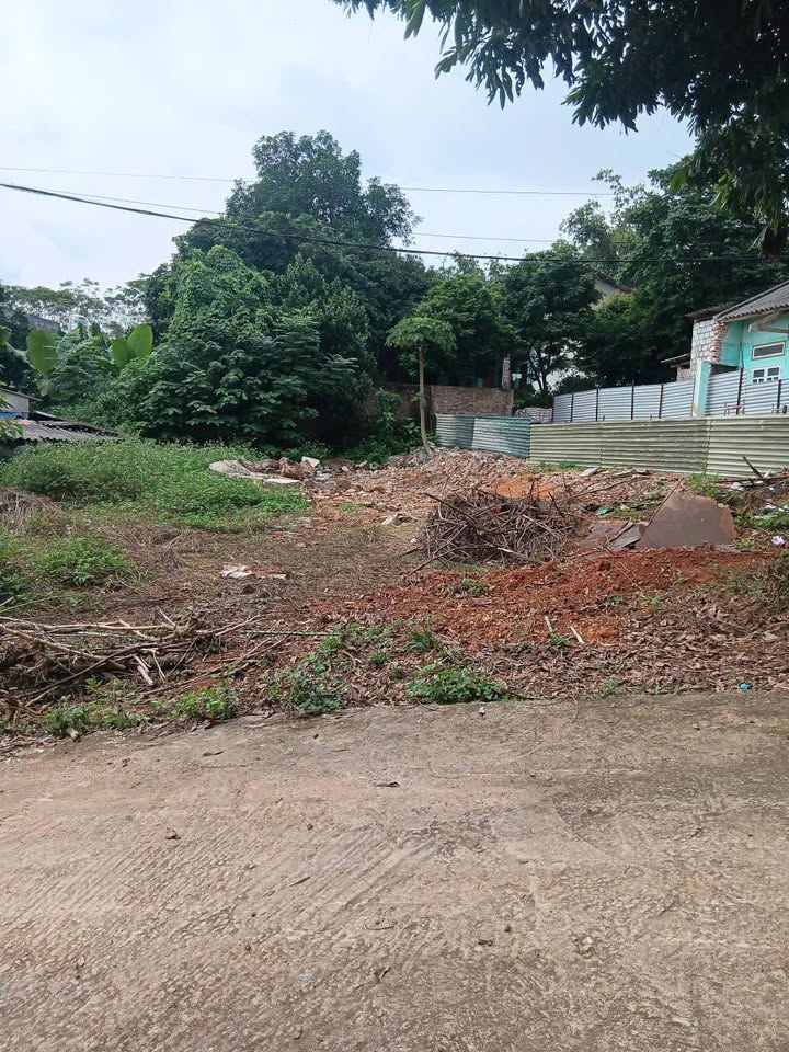 Đất nền An Tường Tuyên Quang 250m² giá 1.366 triệu - Đầu tư sinh lời bền vững!