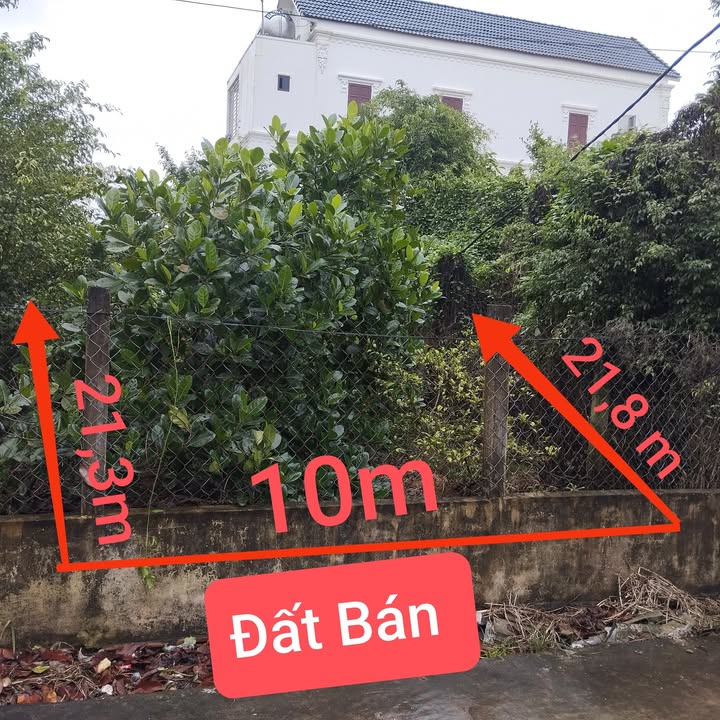 Đất nền Hải Xuân 215m² chỉ 1 tỷ - Đầu tư sinh lời ngay!