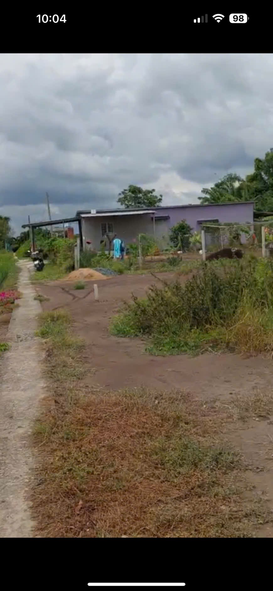 Đất thổ lúa 1000m² xã Tân Lân giá 1.4 tỷ - Đầu tư sinh lời hấp dẫn!