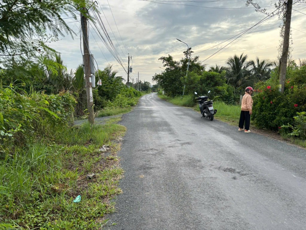 Đất nền 256m² mặt tiền đường nhựa 8m Long Hựu Tây - Giá chỉ 950 triệu!