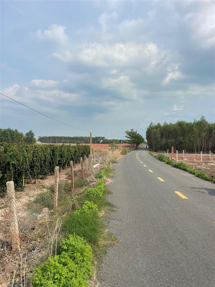 Đất nền mặt tiền Trà Cổ 500m² giá 6 tỷ - Phù hợp kinh doanh homestay!