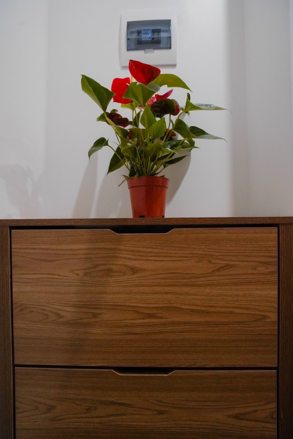 Căn hộ 1 ngủ Vinhomes Marina 30m² giá 7 triệu - Full nội thất hiện đại!